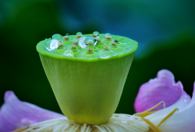 ​职业女性励志语录 抖音女性励志文案