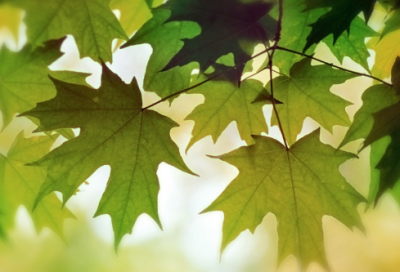 ​关于抖音容易上热门的励志文案（关于励志的正能量文案短句）