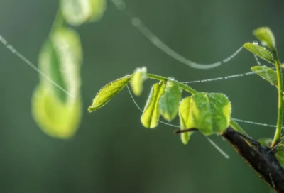 ​干净励志短句 阳光励志干净的句子