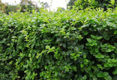 ​人生励志霸气语录 正能量优秀句子短句