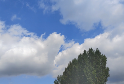 ​团结合作励志句子 团队精神正能量的句子