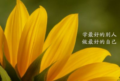 ​关于励志减肥的搞笑文案，关于瘦身的幽默句子（精选）