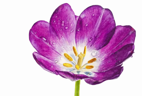 1708293426627084.png image.png