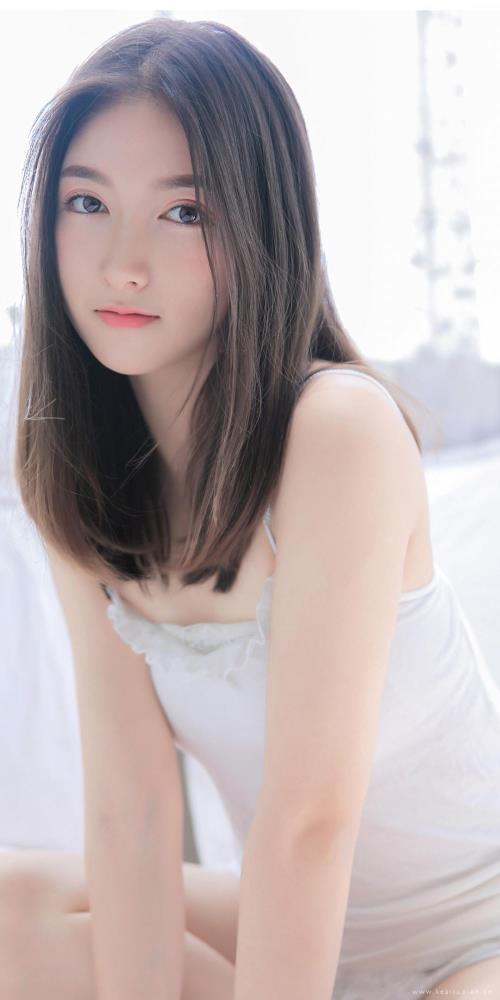 定语加中心语短句