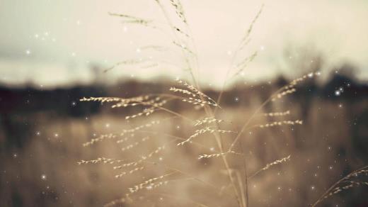 高级又沙雕的闺蜜文案