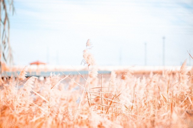 形容不想长大的心情说说 90后不想长大的说说