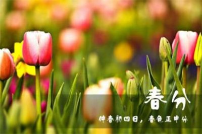 ​经典安慰失恋人的话 安慰人失恋的话简短精辟的