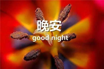 东宫语录穿红衣服