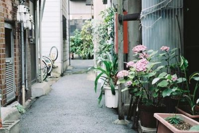 ​独处的精神魅力语录（王小波经典作品语录）