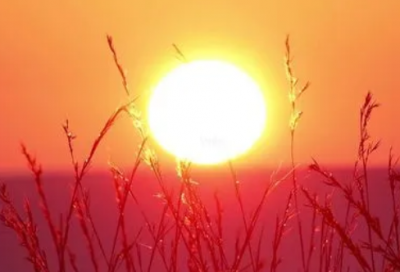 关于爱情的伤感语句我不能停止对你的爱