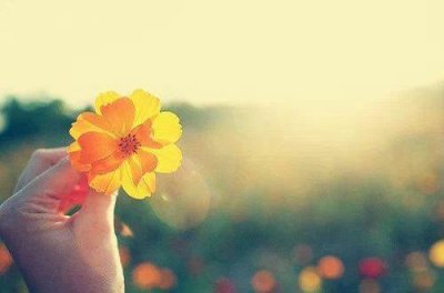 ​元旦朋友圈说说简短合集79句