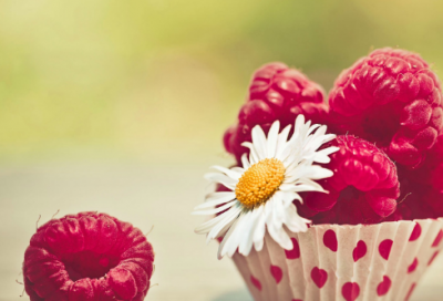 开工大吉的文案(优秀77句)