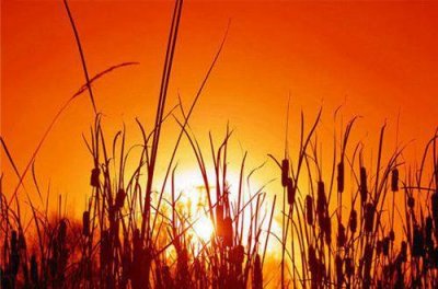 ​简单的形容心情伤感的句子36条