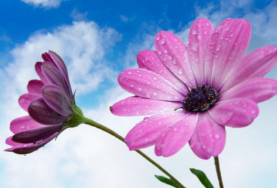 ​不眠之夜的伤感的句子-54句