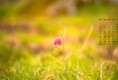 ​痴情男人伤感句子-58句