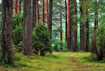 ​不眠之夜的伤感的句子-53句