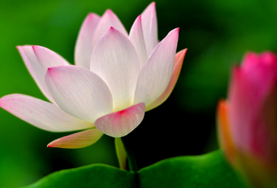 ​表达分离的伤感无奈句子-51句