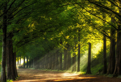 1702379490917214.png image.png