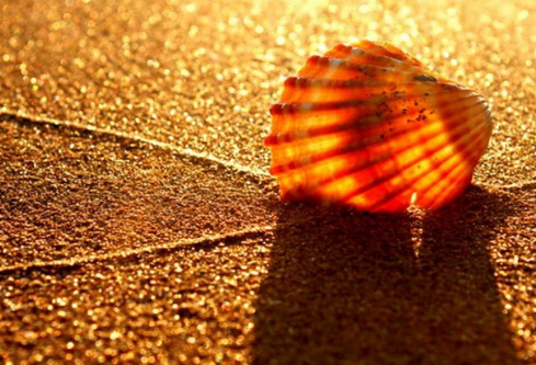 1702379987899852.png image.png