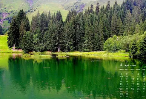 1692720923571200.png image.png