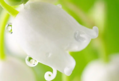 ​痴情而伤感的优美句子-50句