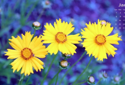 ​发快手伤感句子上热门短句-64句