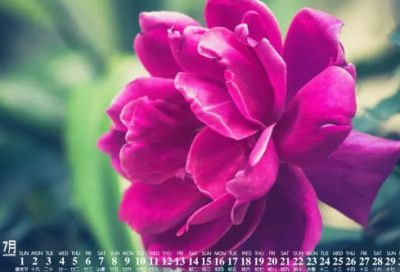 ​短小伤感句子-56句