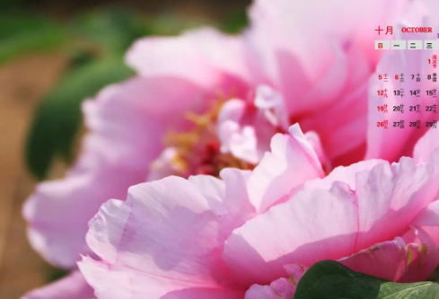 1692717110313732.png image.png