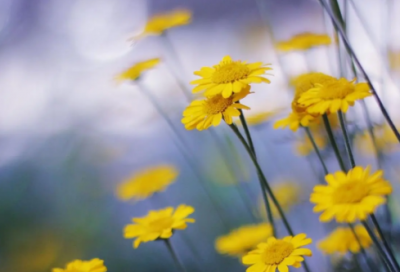 ​超长伤感的句子可以复制40字-51句