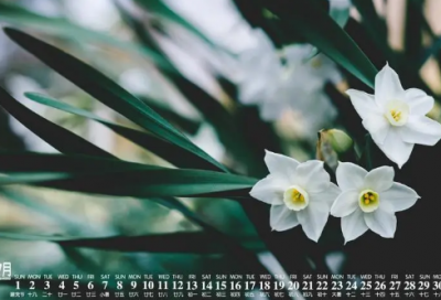 ​发快手伤感句子上热门短句-59句