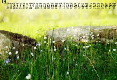 ​出轨伤感句子-56句