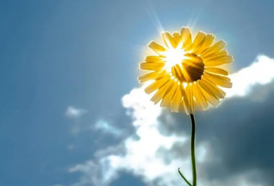 ​对一个家庭心寒失望的句子,伤感虐心-54句