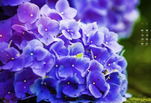 1692718436305564.png image.png