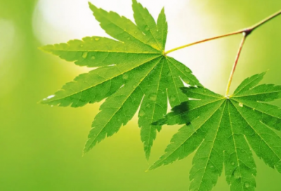 ​代表伤感的句子-54句