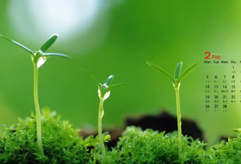 1692719762491936.png image.png