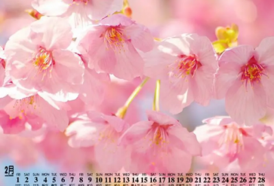 ​对不起爱人的伤感句子-52句