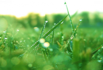 ​表达心情无奈的伤感心情句子-53句