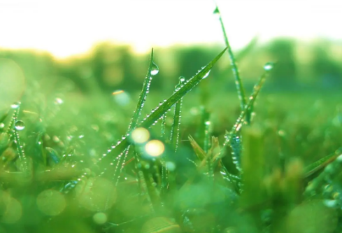 1692723079628959.png image.png