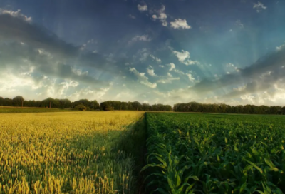 ​毕业伤感句子-52句