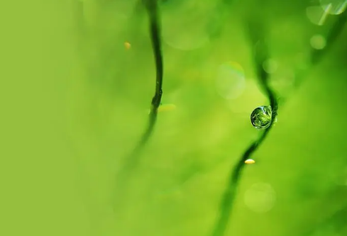 1692723411756933.png image.png