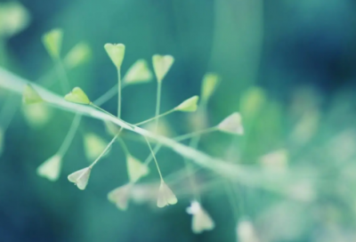 ​带有伤感的句子-50句