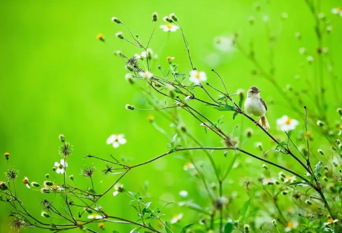 1692723742602209.png image.png