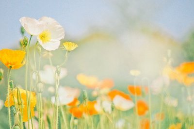 ​精选周国平经典语录 安静周国平经典语录(精选77句)