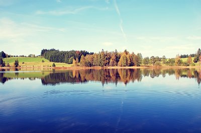 ​经典话伤感语录(精选80句)