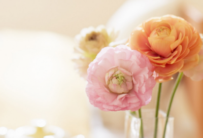 ​表示开心的朋友圈文案(让自己开心的心情文案)