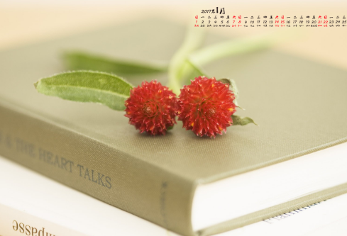 1689441619296361.png image.png