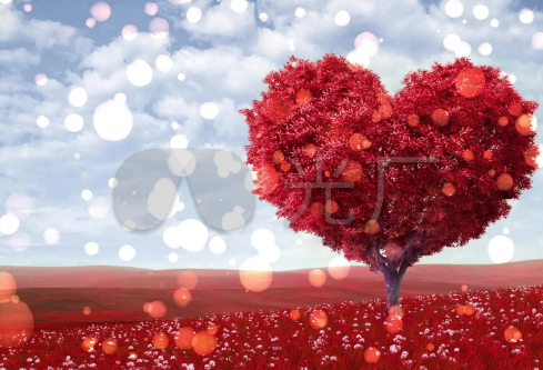 1689442446753093.png image.png