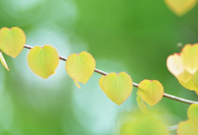 ​暖心情话说说短句(精选95句)