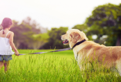 ​荡秋千快乐心情的短句精选61条