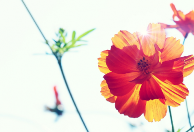 ​关于今日心情好好说说 今天心情不错的说说(精选60句)